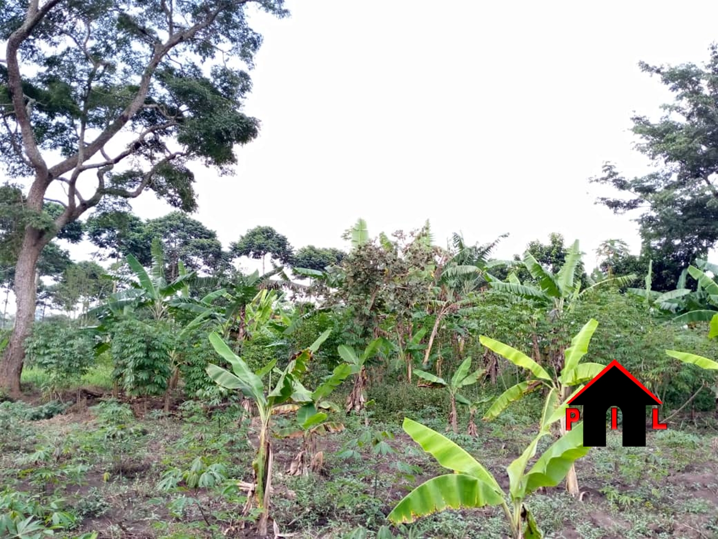 Residential Land for sale in Kitara Kampala