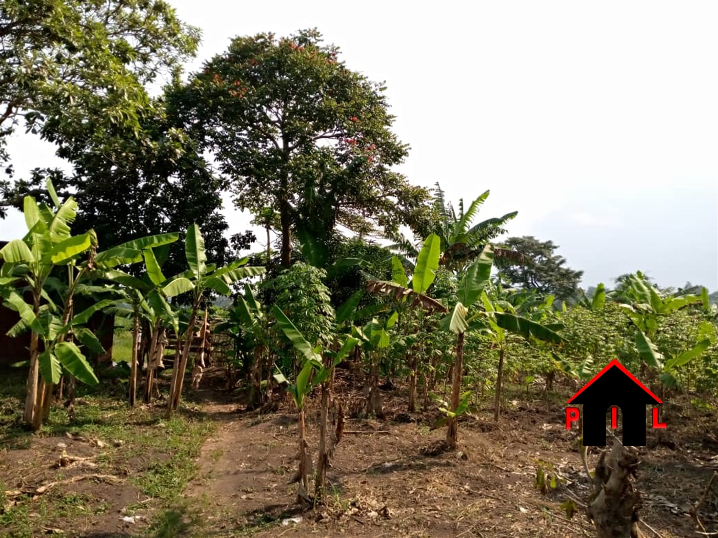 Residential Land for sale in Kitara Kampala