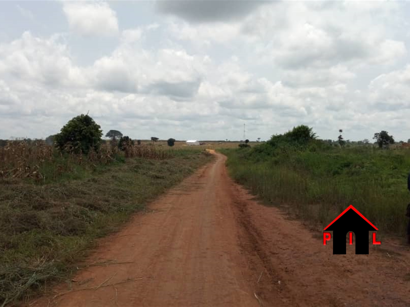 Agricultural Land for sale in Nakyessa Kayunga