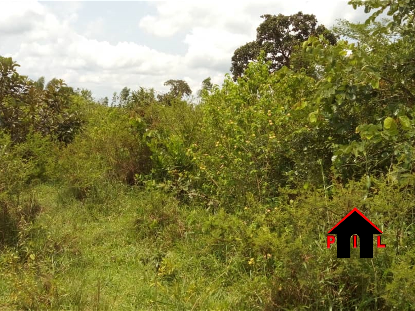 Agricultural Land for sale in Nakyessa Kayunga