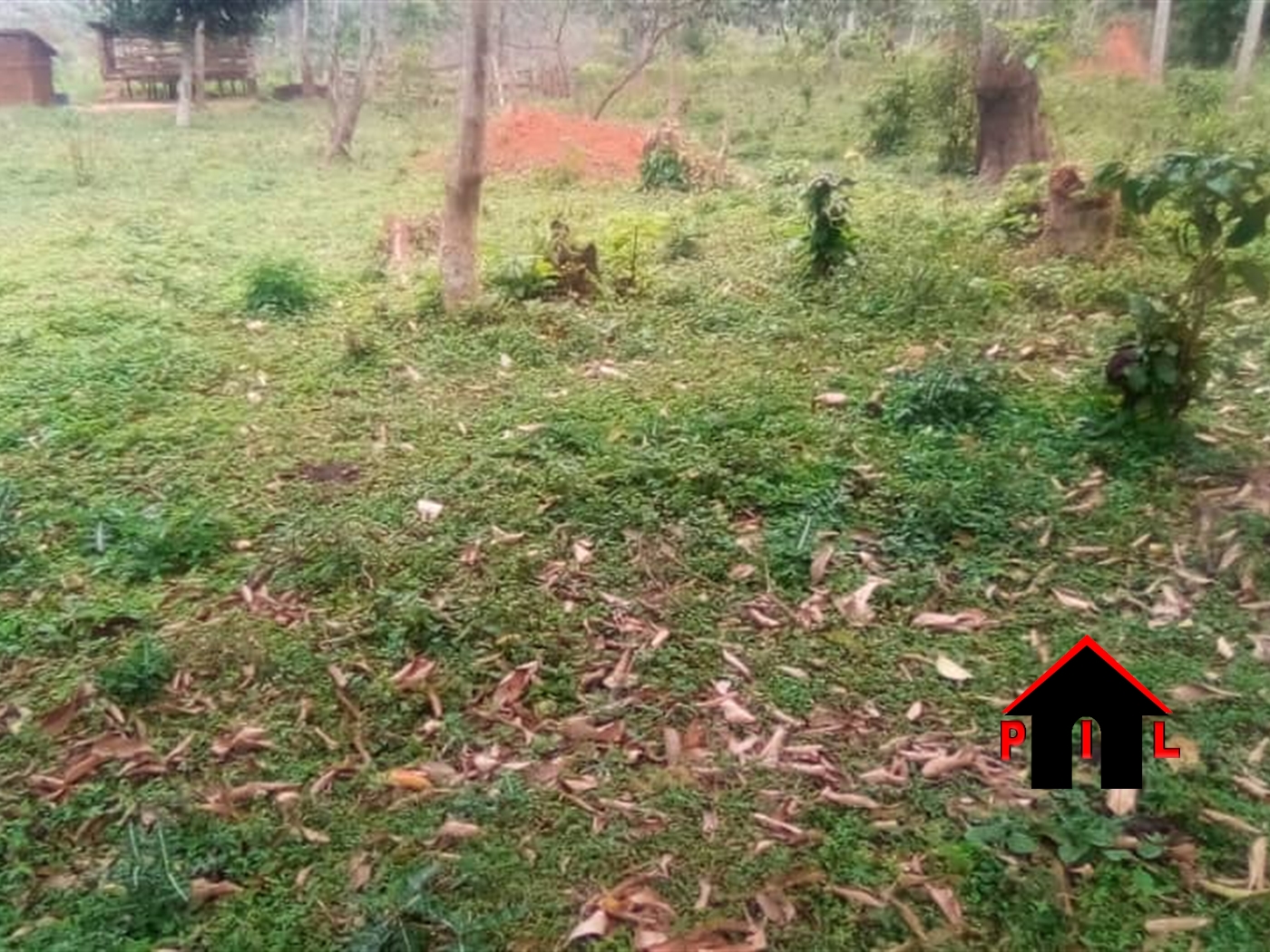 Agricultural Land for sale in Nakiyinja Mukono