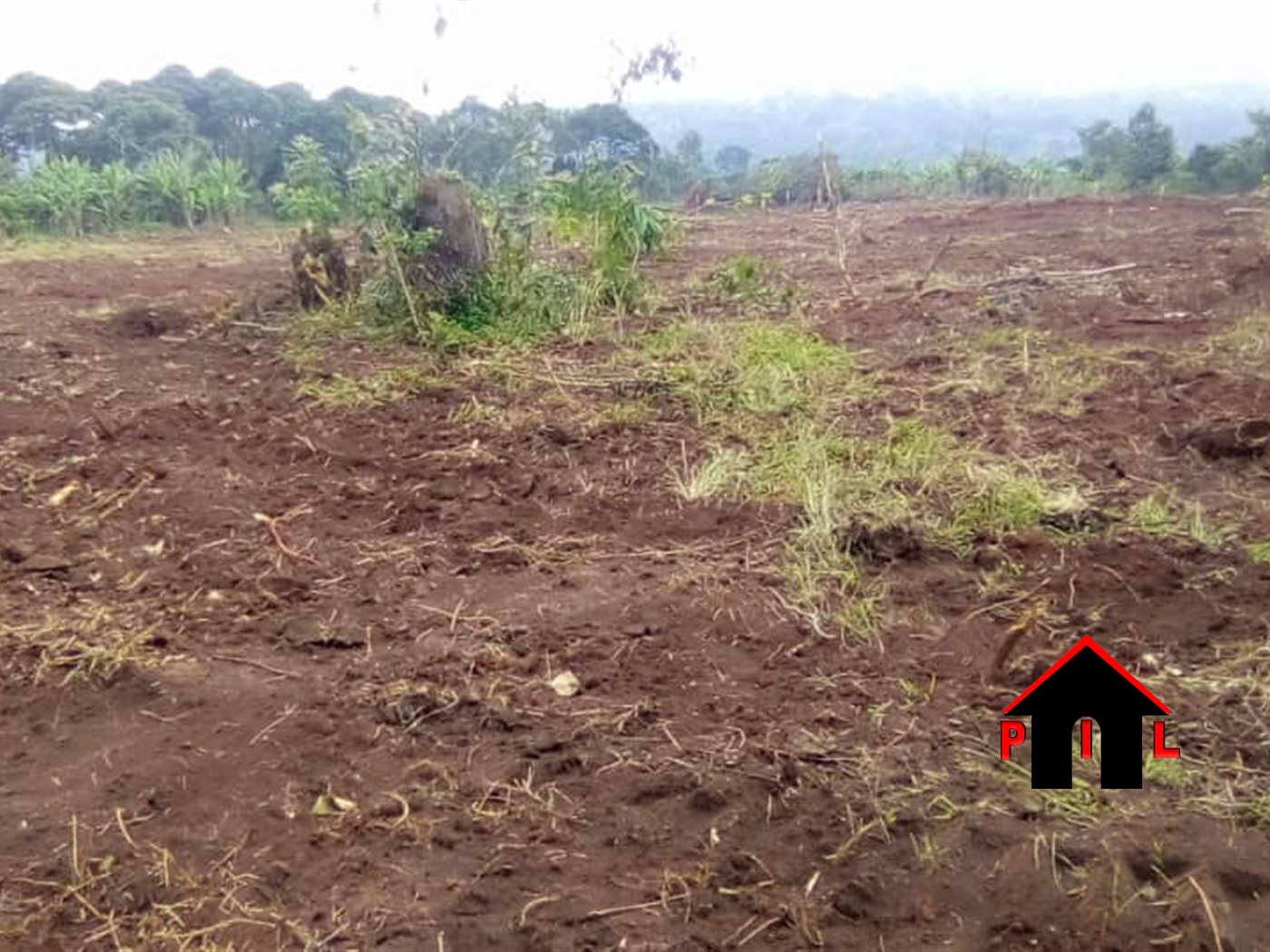 Residential Land for sale in Bukeelele Mukono