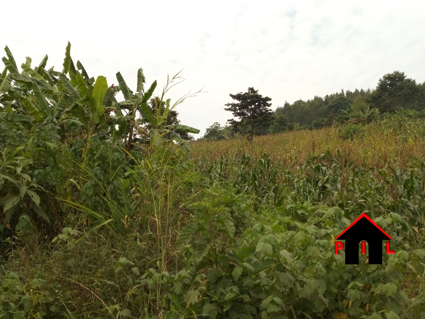 Residential Land for sale in Kisaasi Kampala