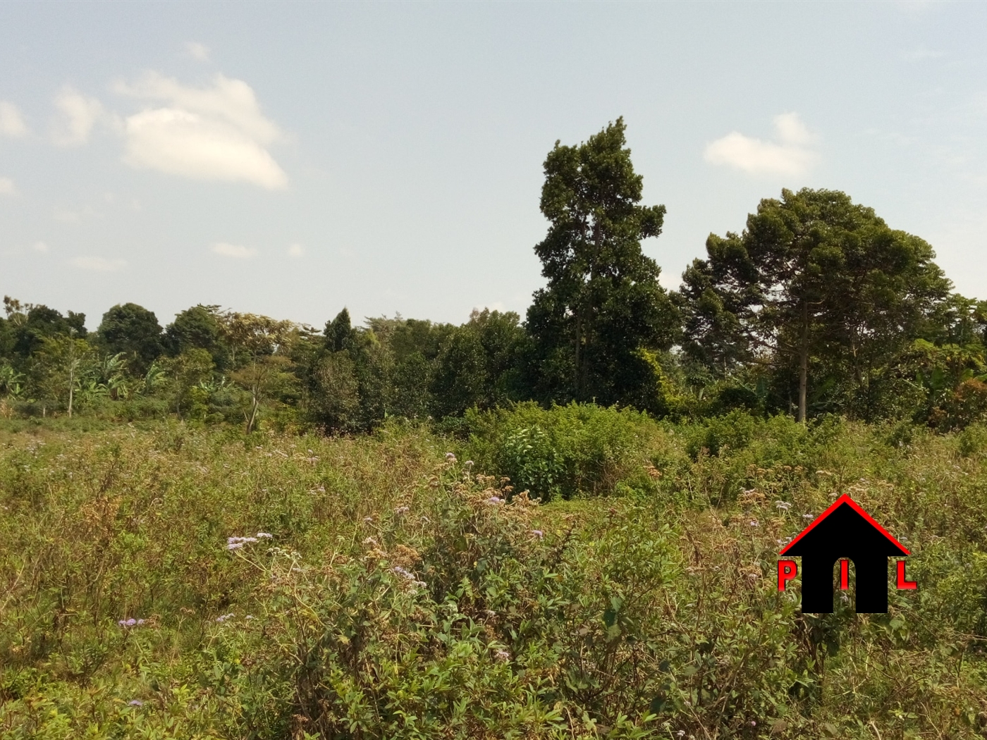 Residential Land for sale in Kisaasi Kampala