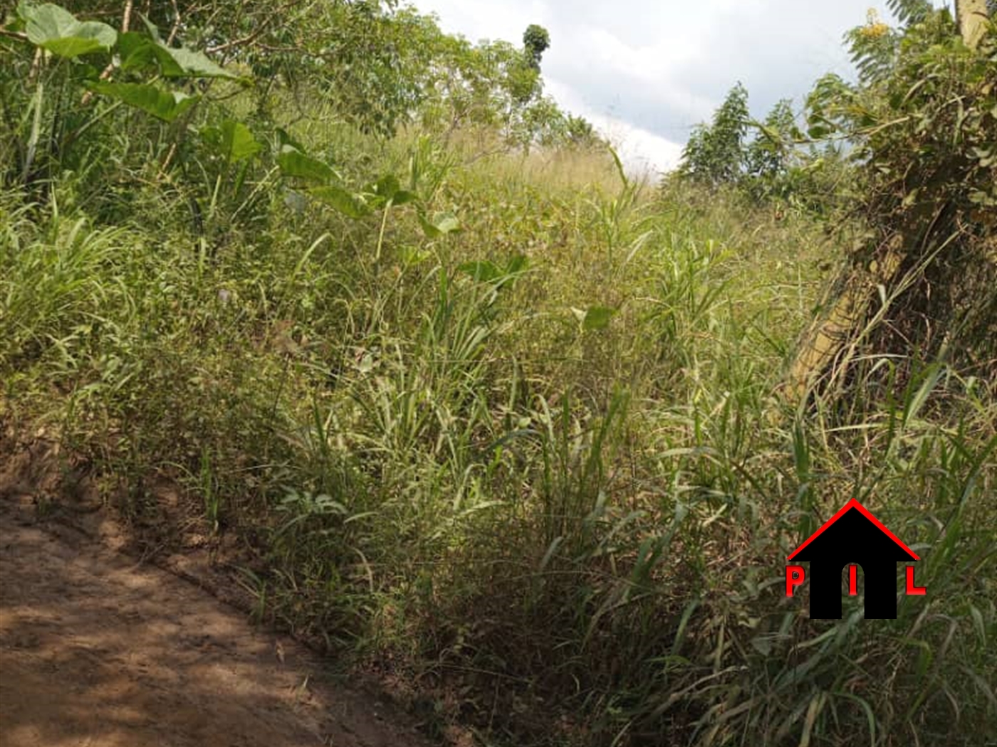 Agricultural Land for sale in Kapeeka Nakaseke