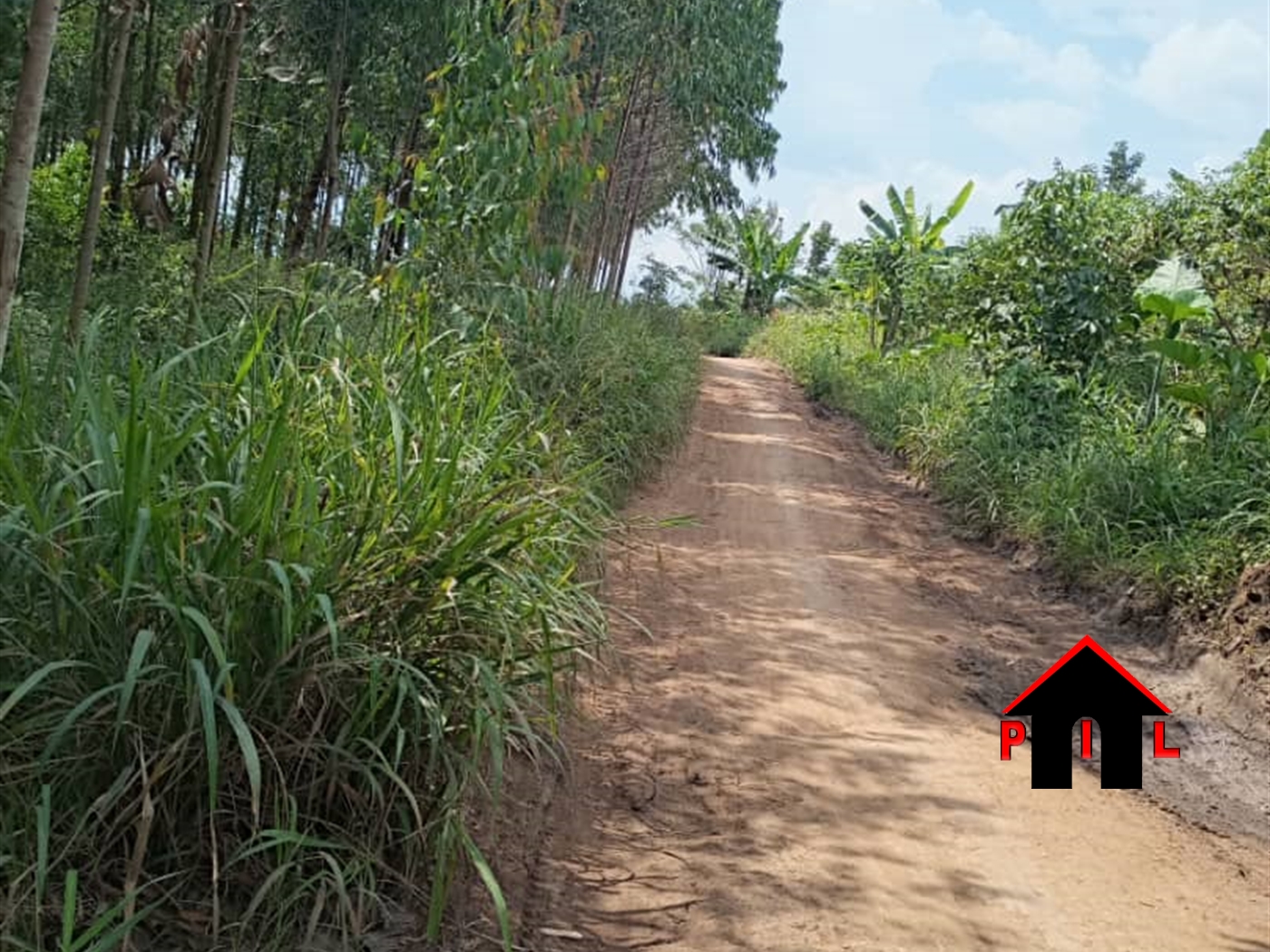 Agricultural Land for sale in Kapeeka Nakaseke