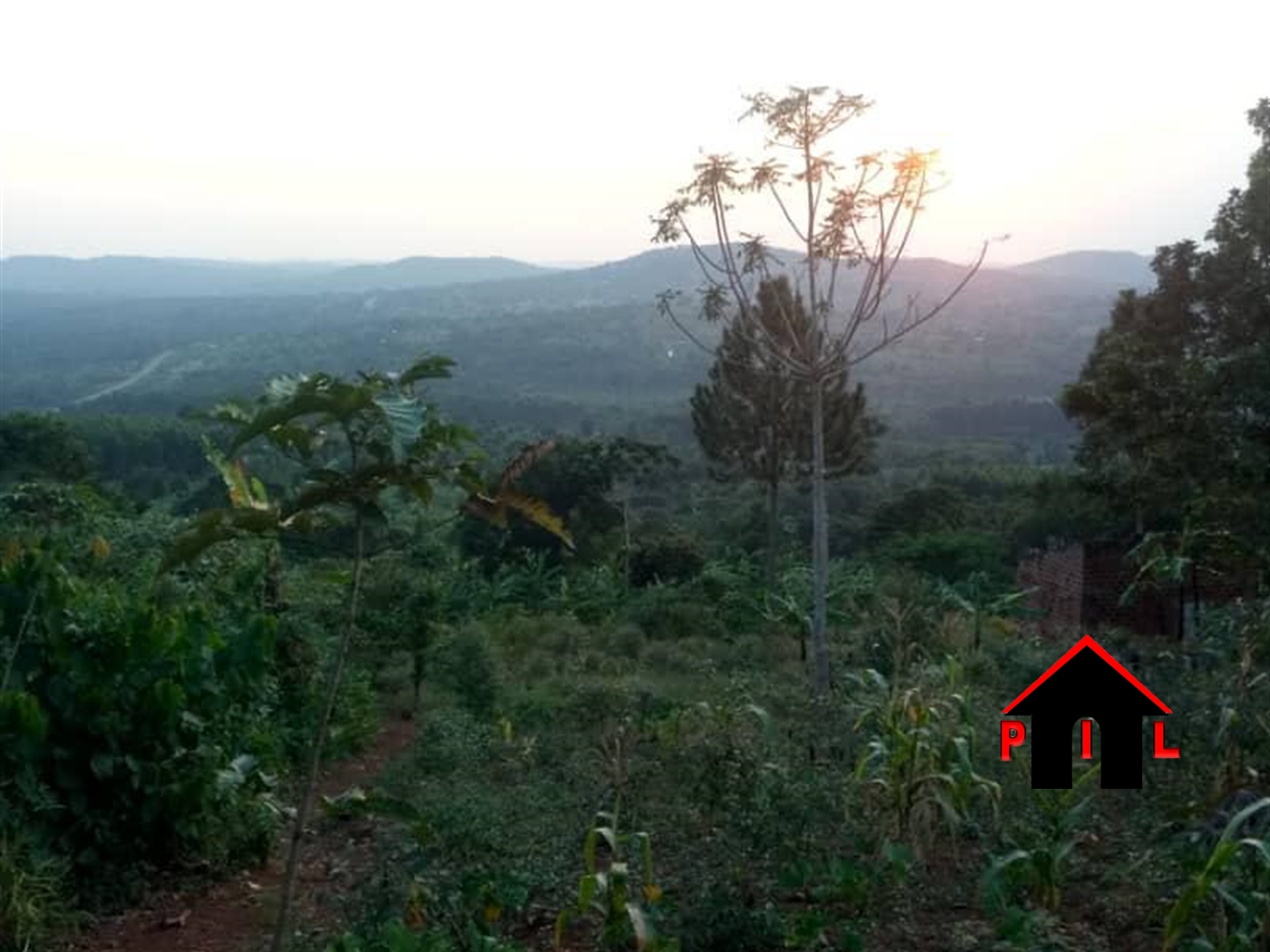 Agricultural Land for sale in Seeta Mpigi