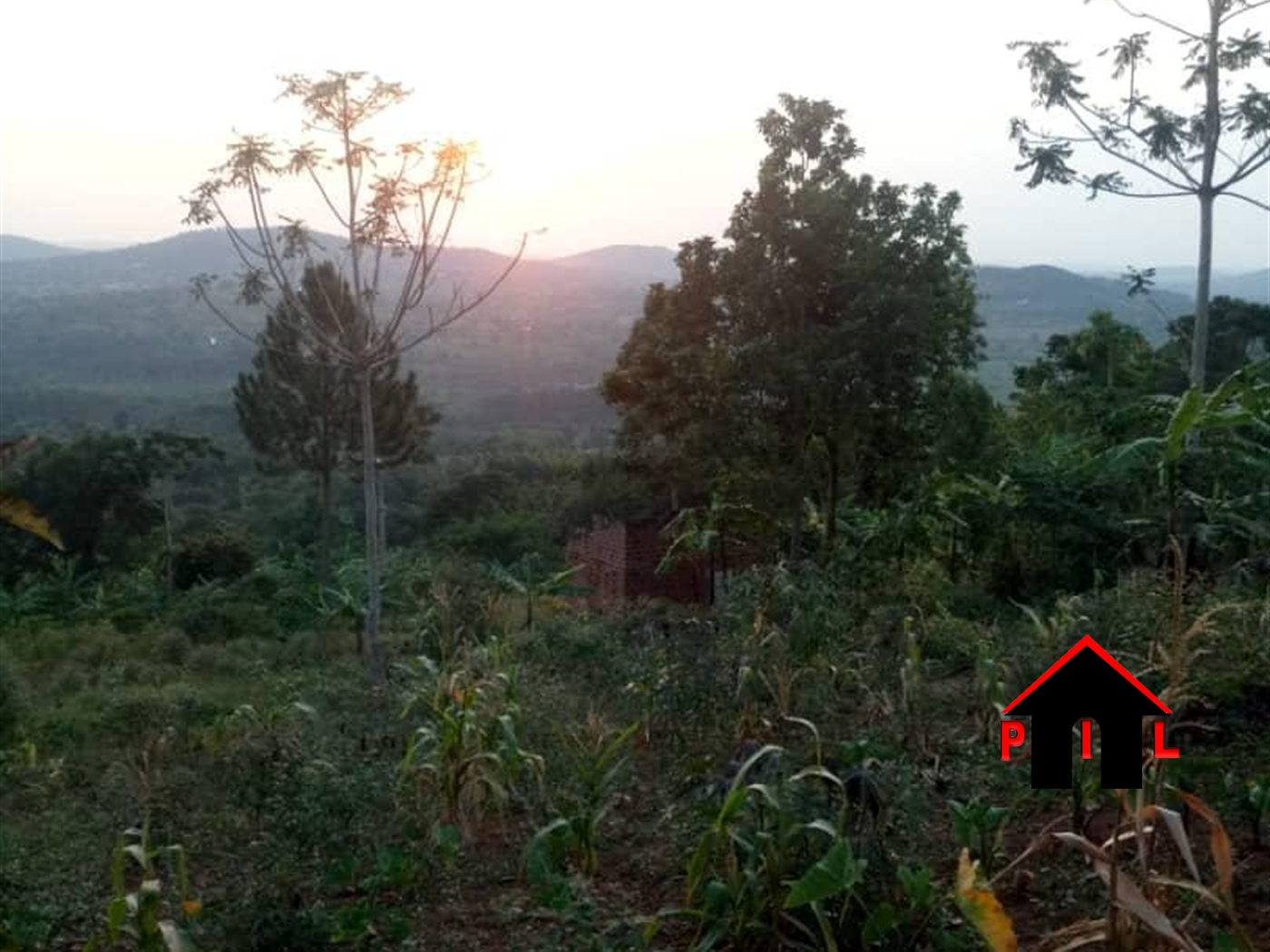 Agricultural Land for sale in Seeta Mpigi