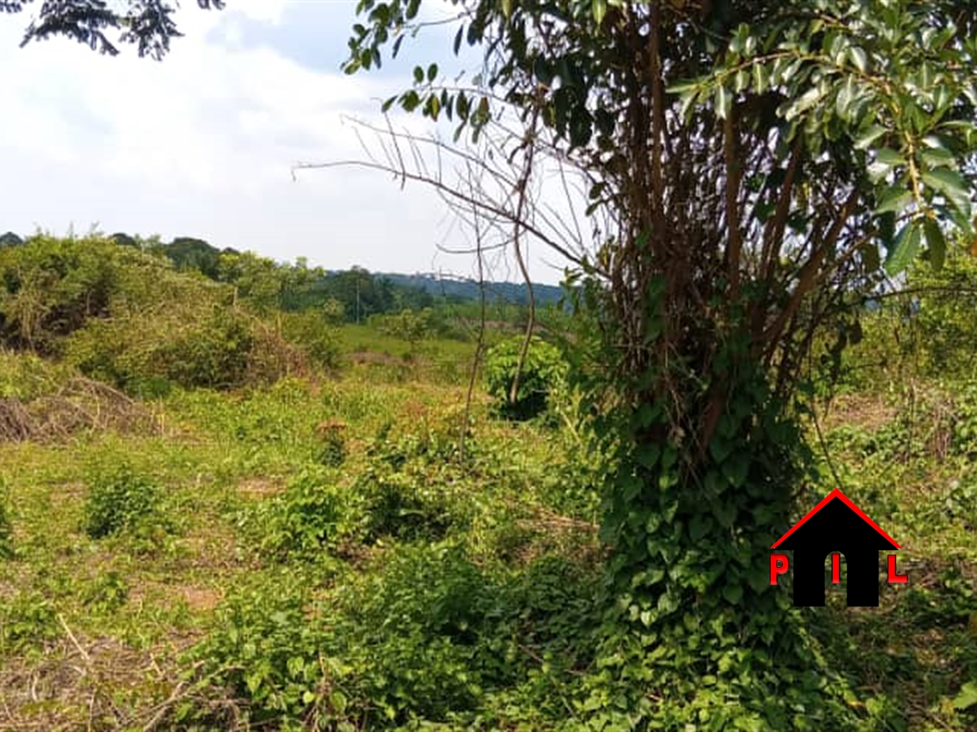 Agricultural Land for sale in Kikyuusa Luweero