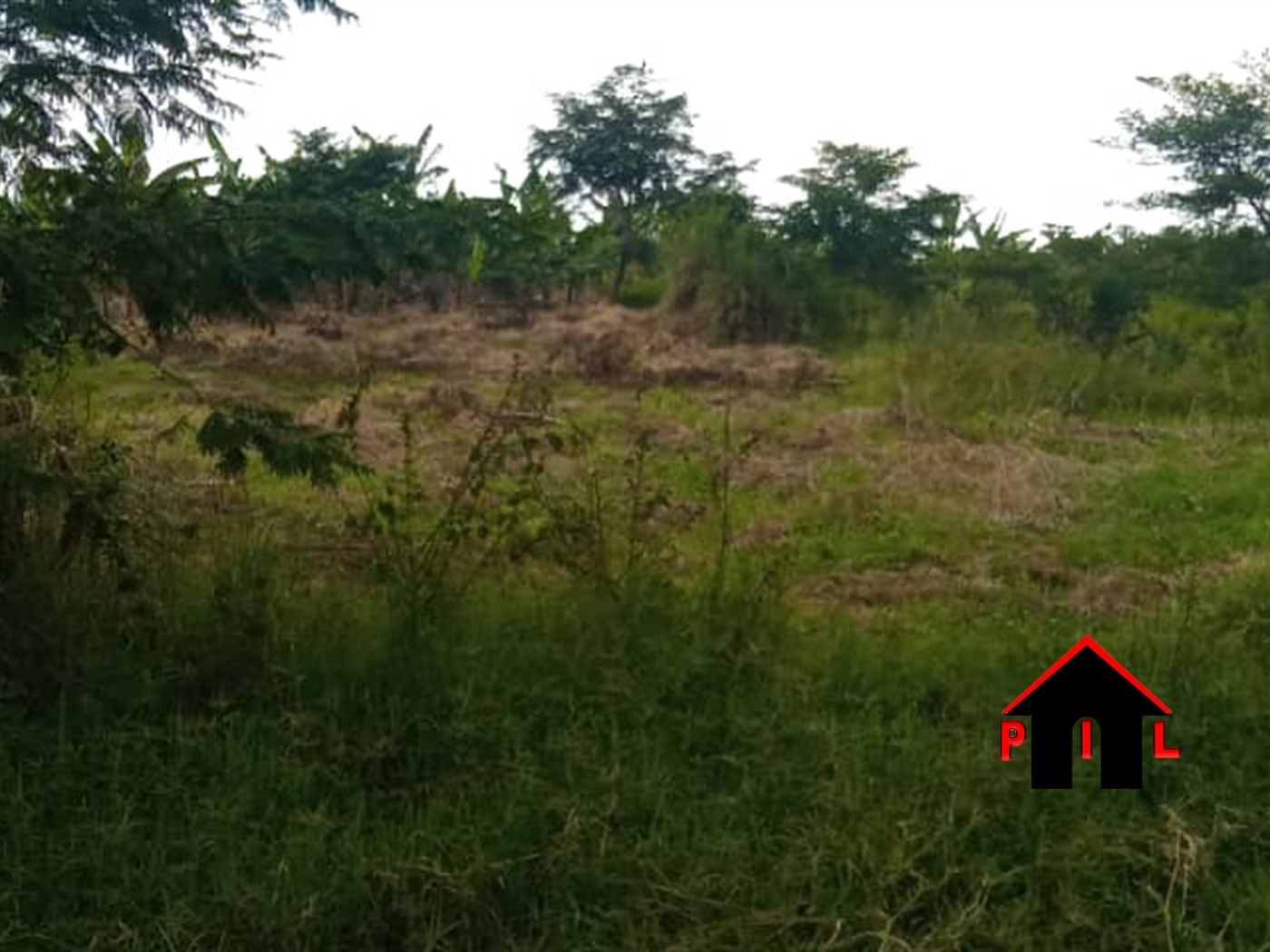 Agricultural Land for sale in Kikyuusa Luweero