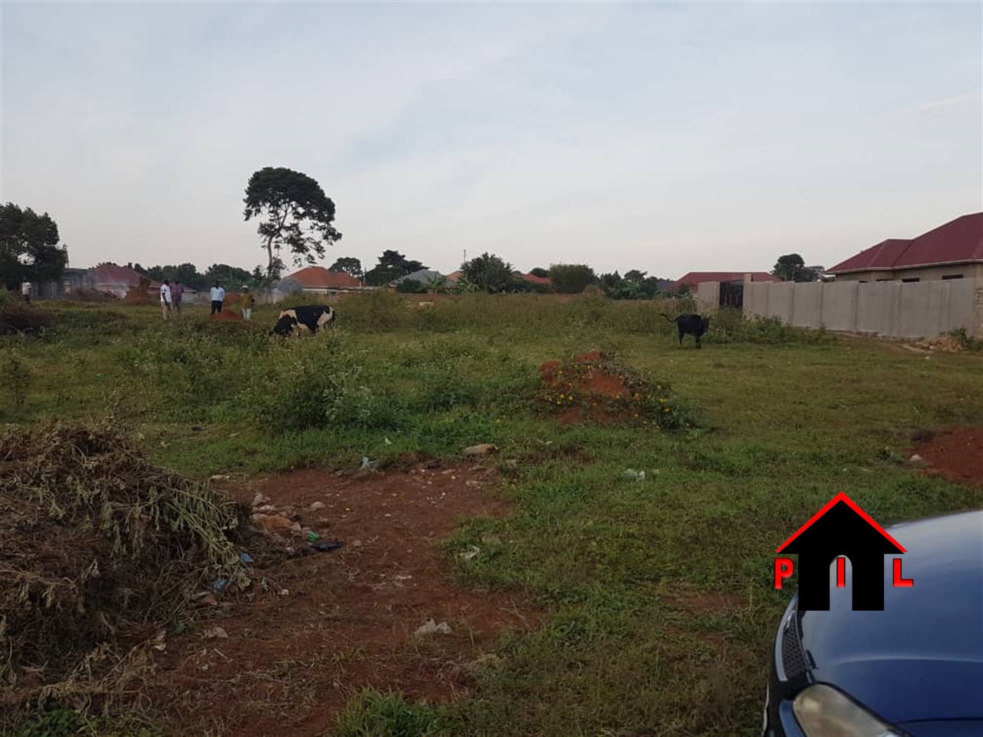 Residential Land for sale in Nkumba Wakiso