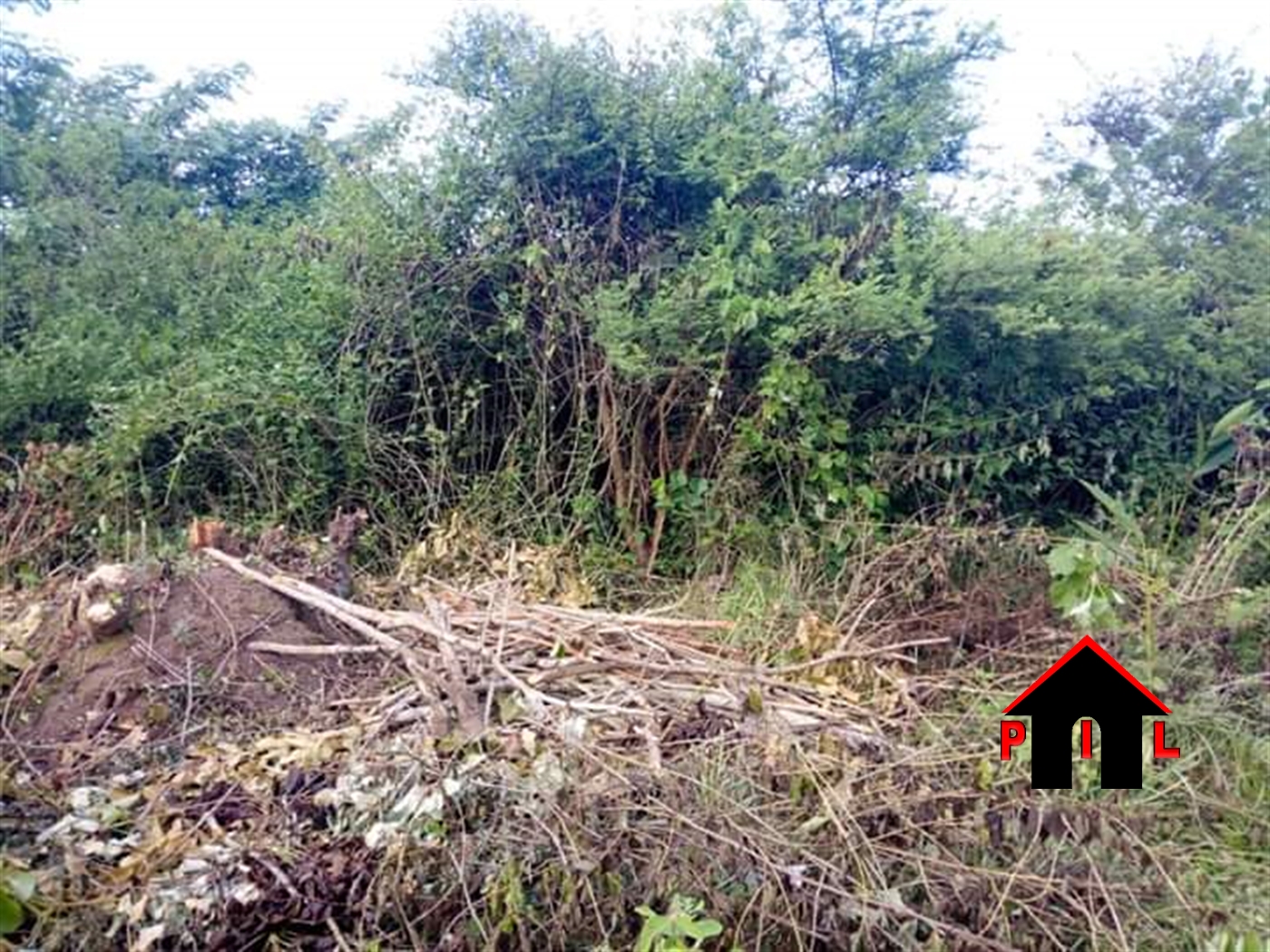 Agricultural Land for sale in Wabitungulu Luweero