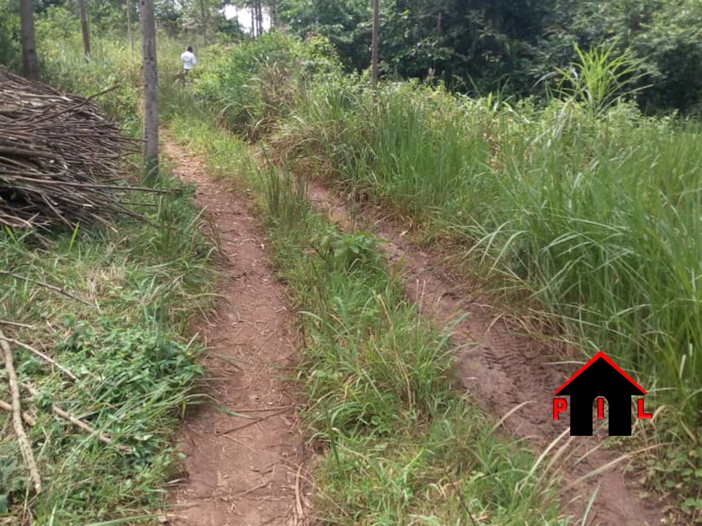 Agricultural Land for sale in Nabutaka Luweero