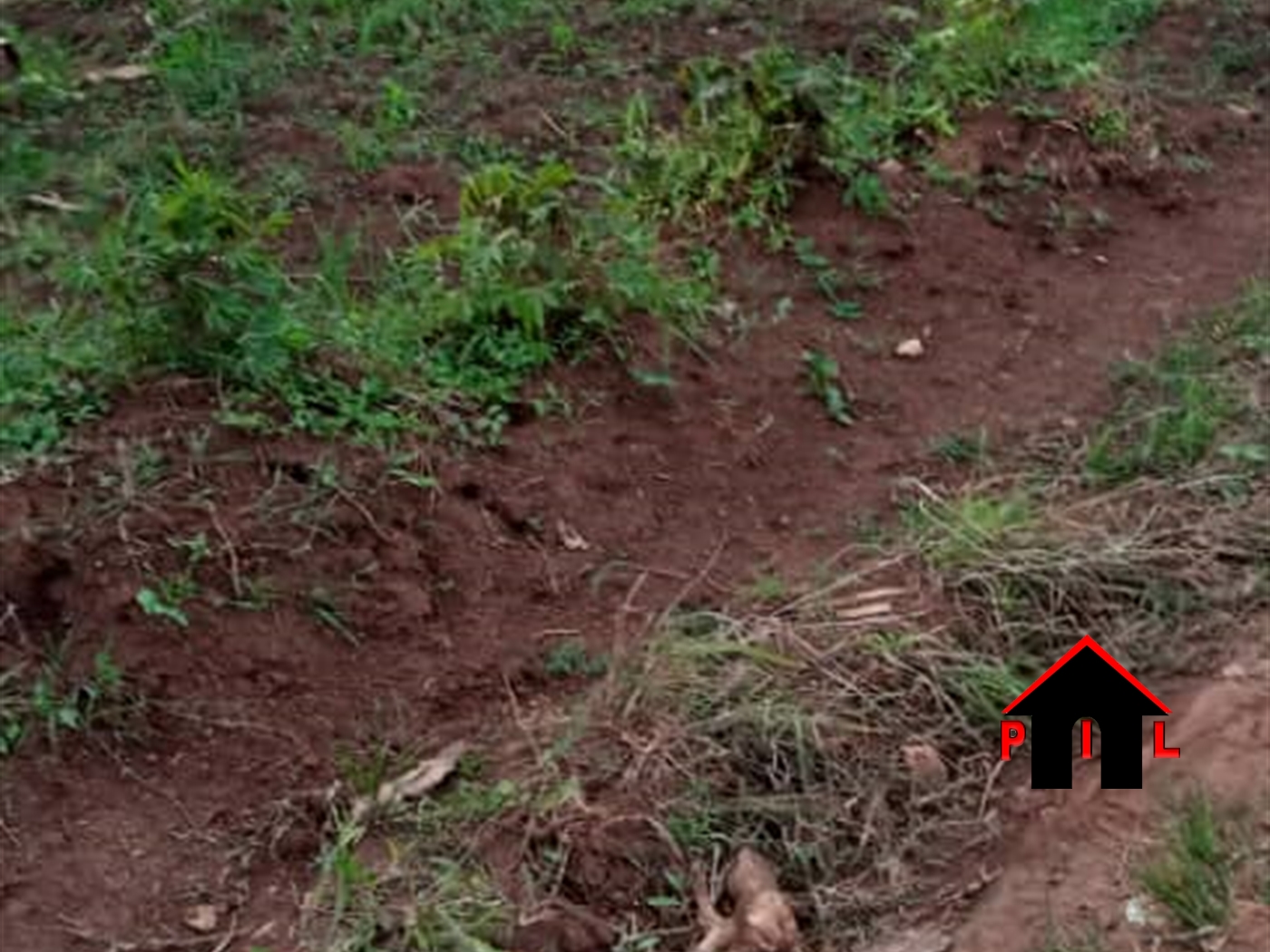 Agricultural Land for sale in Kamila Luweero