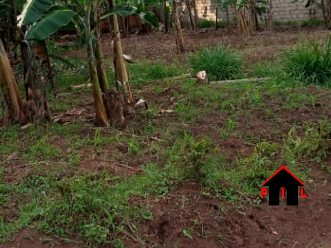 Agricultural Land for sale in Kamila Luweero