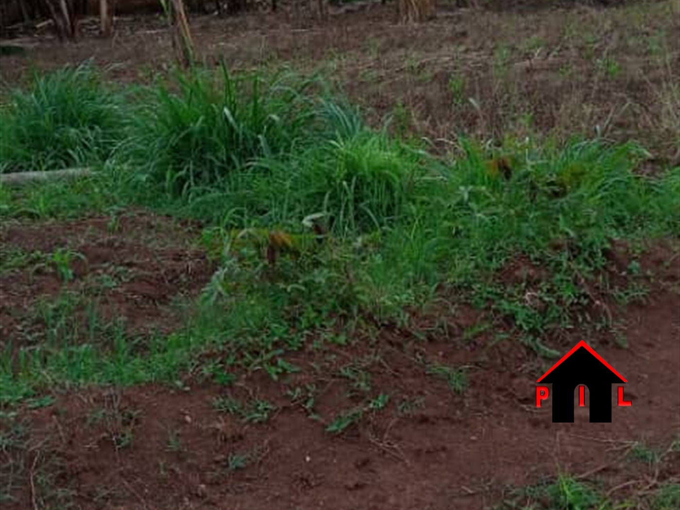 Agricultural Land for sale in Kamila Luweero