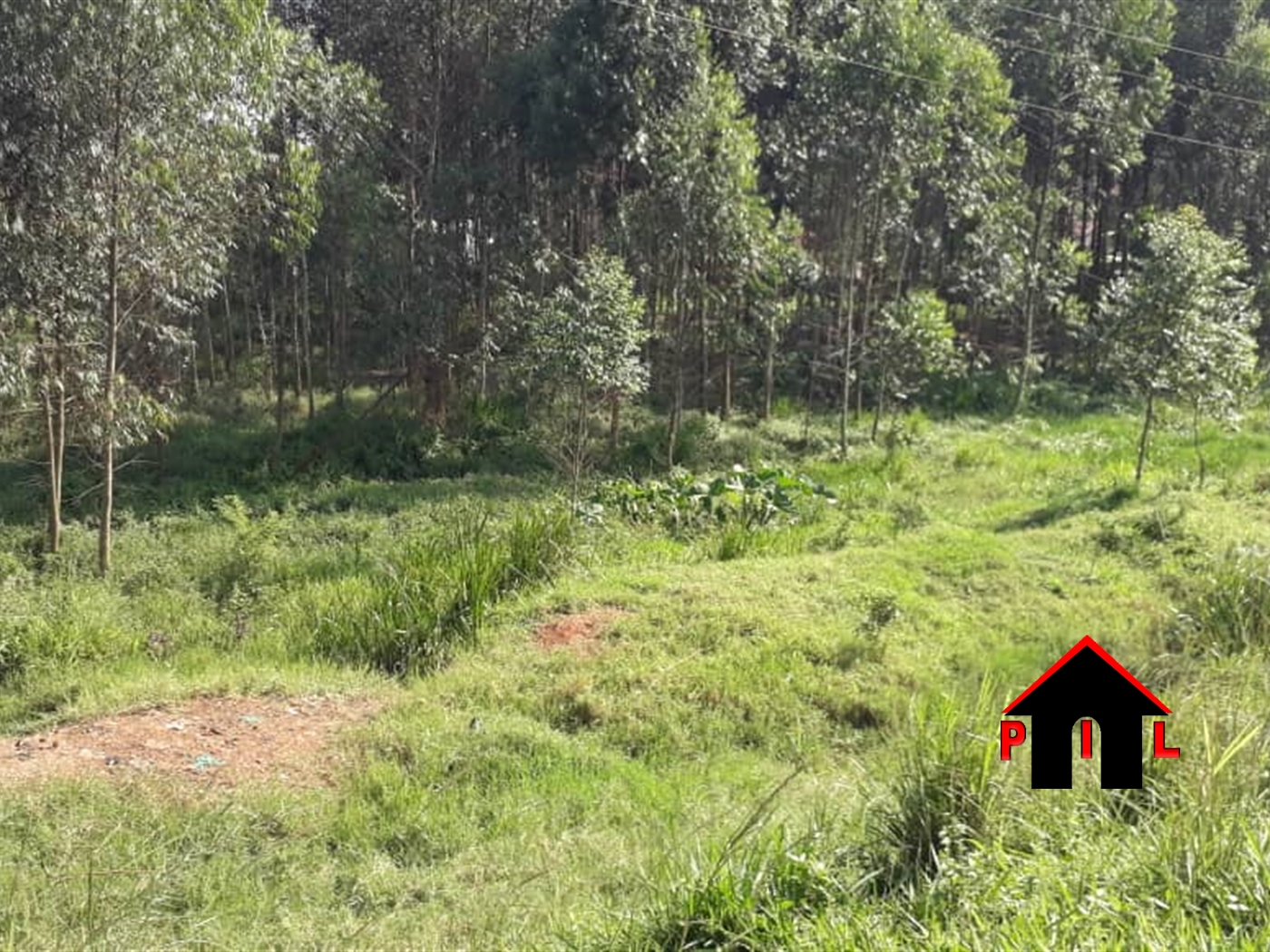 Agricultural Land for sale in Kamila Luweero