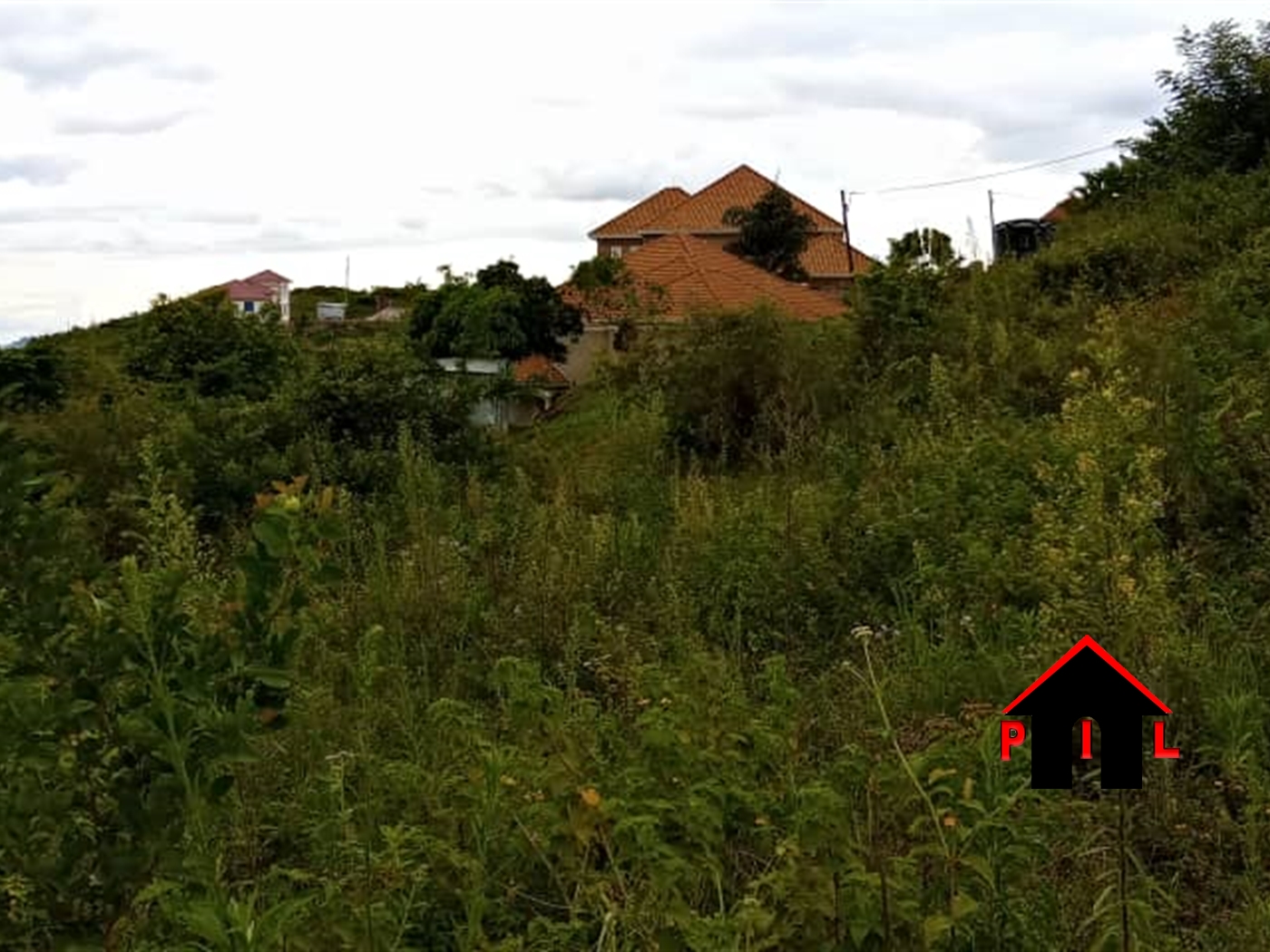 Agricultural Land for sale in Kikyuusa Luweero