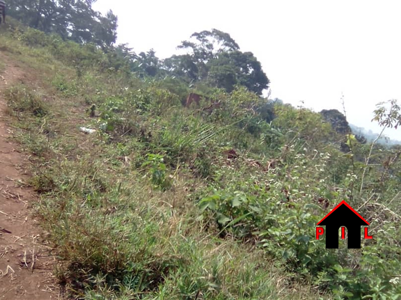 Agricultural Land for sale in Wabitungulu Luweero