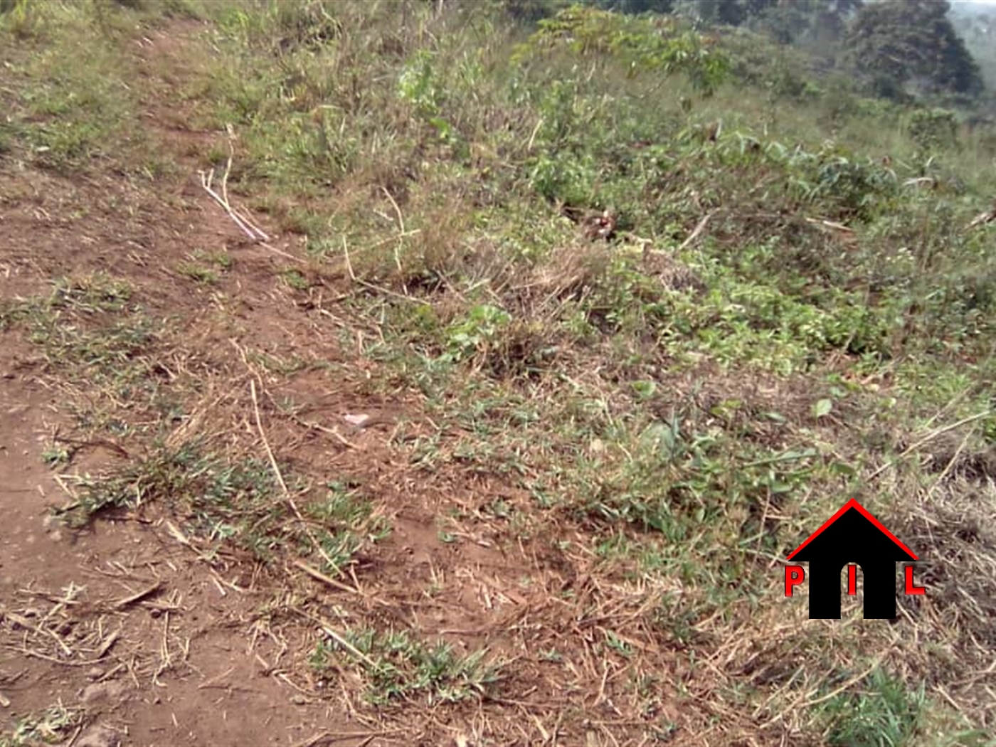 Agricultural Land for sale in Wabitungulu Luweero