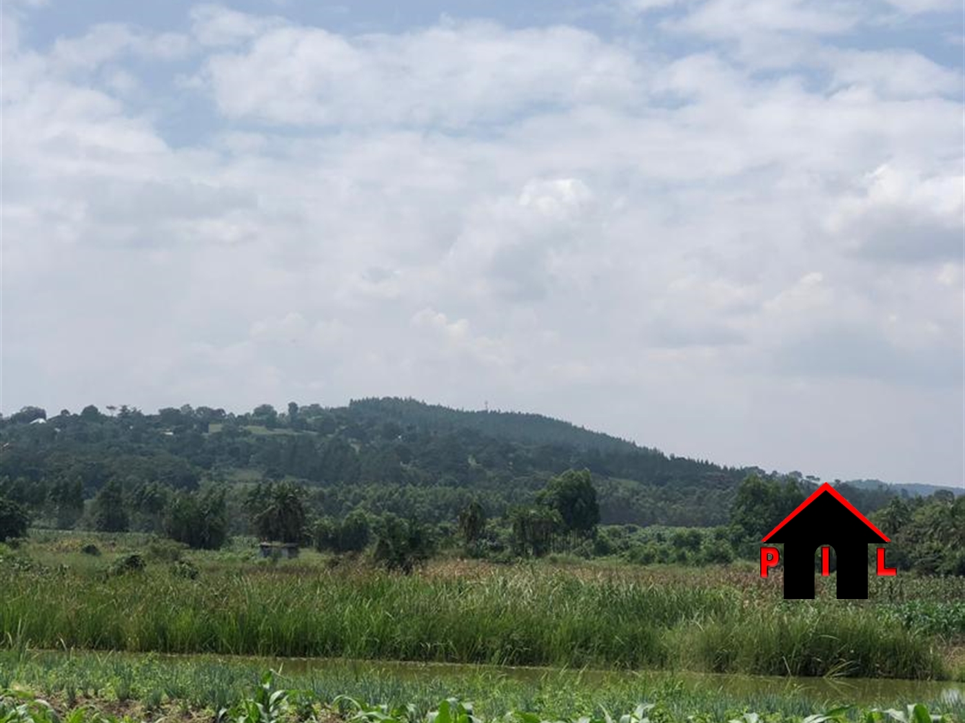 Agricultural Land for sale in Nsaggu Wakiso