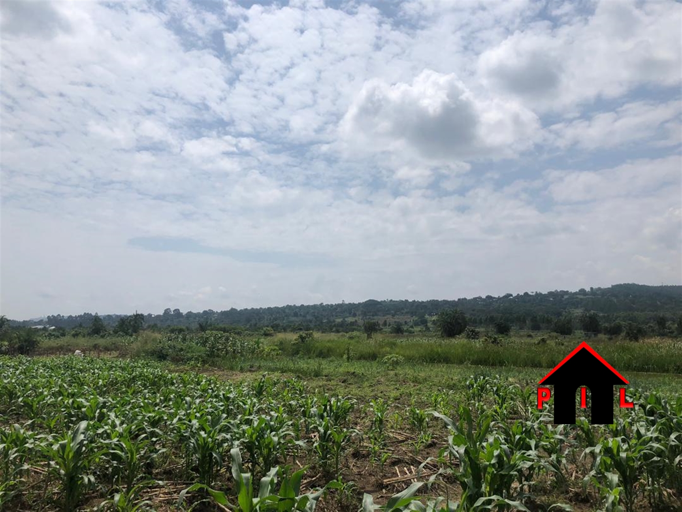 Agricultural Land for sale in Nsaggu Wakiso