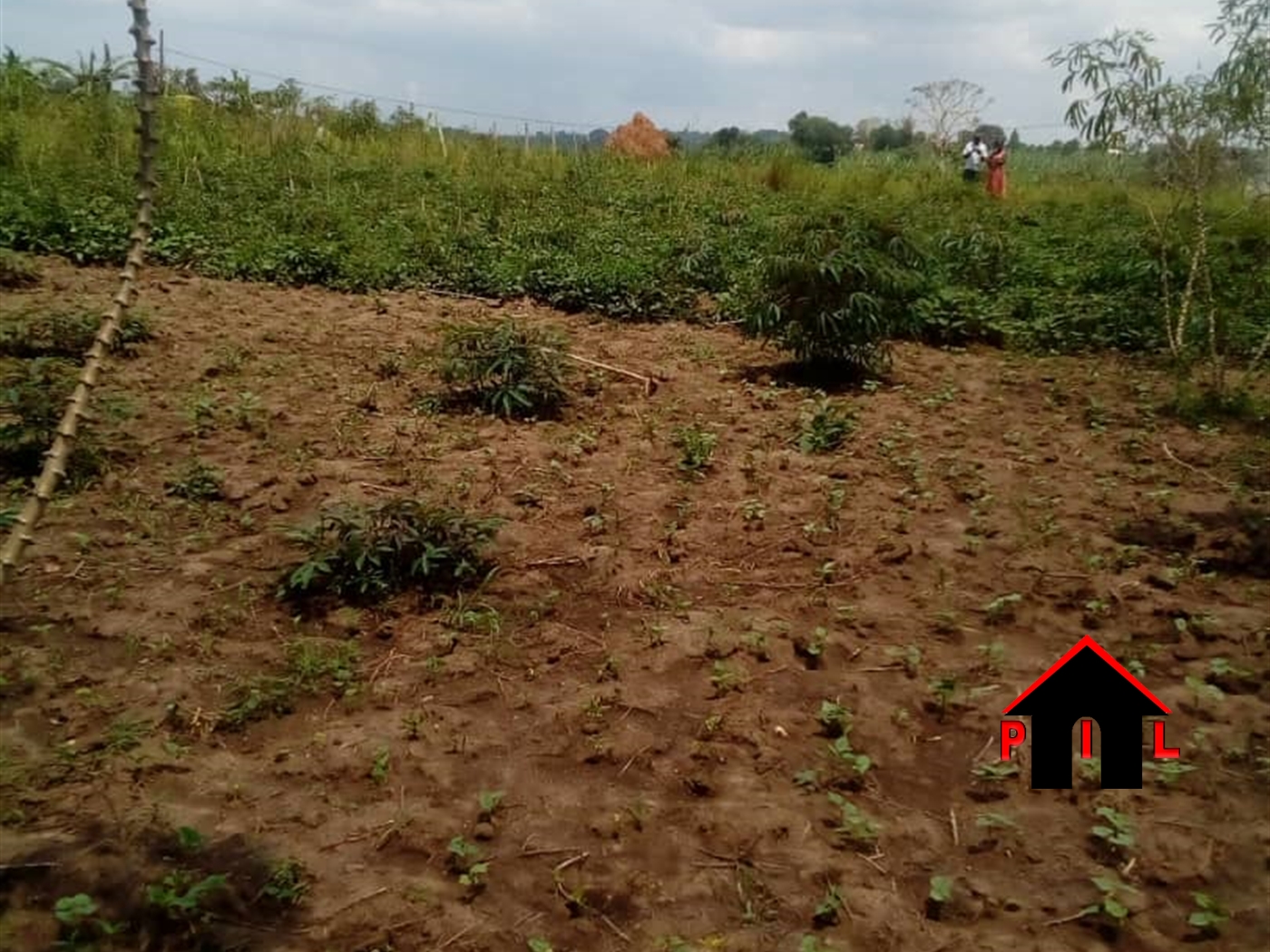 Residential Land for sale in Namusela Wakiso