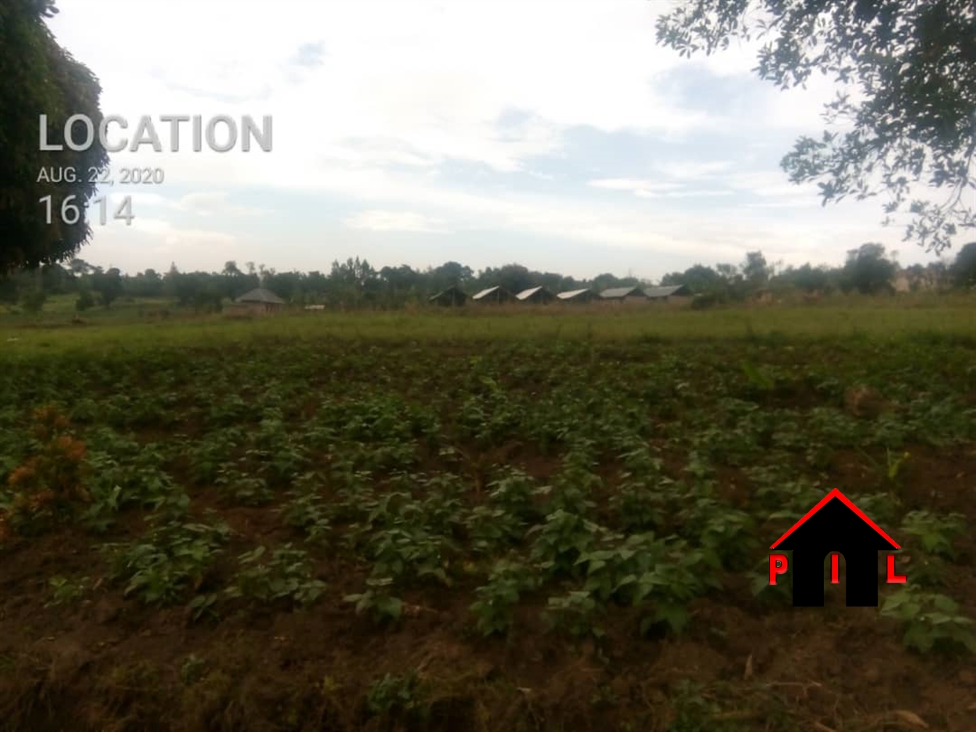 Residential Land for sale in Kikwandwa Mityana