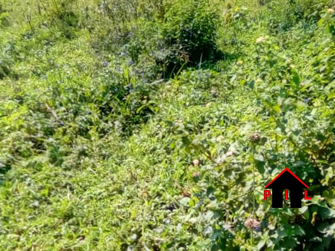 Residential Land for sale in Mpoma Mukono