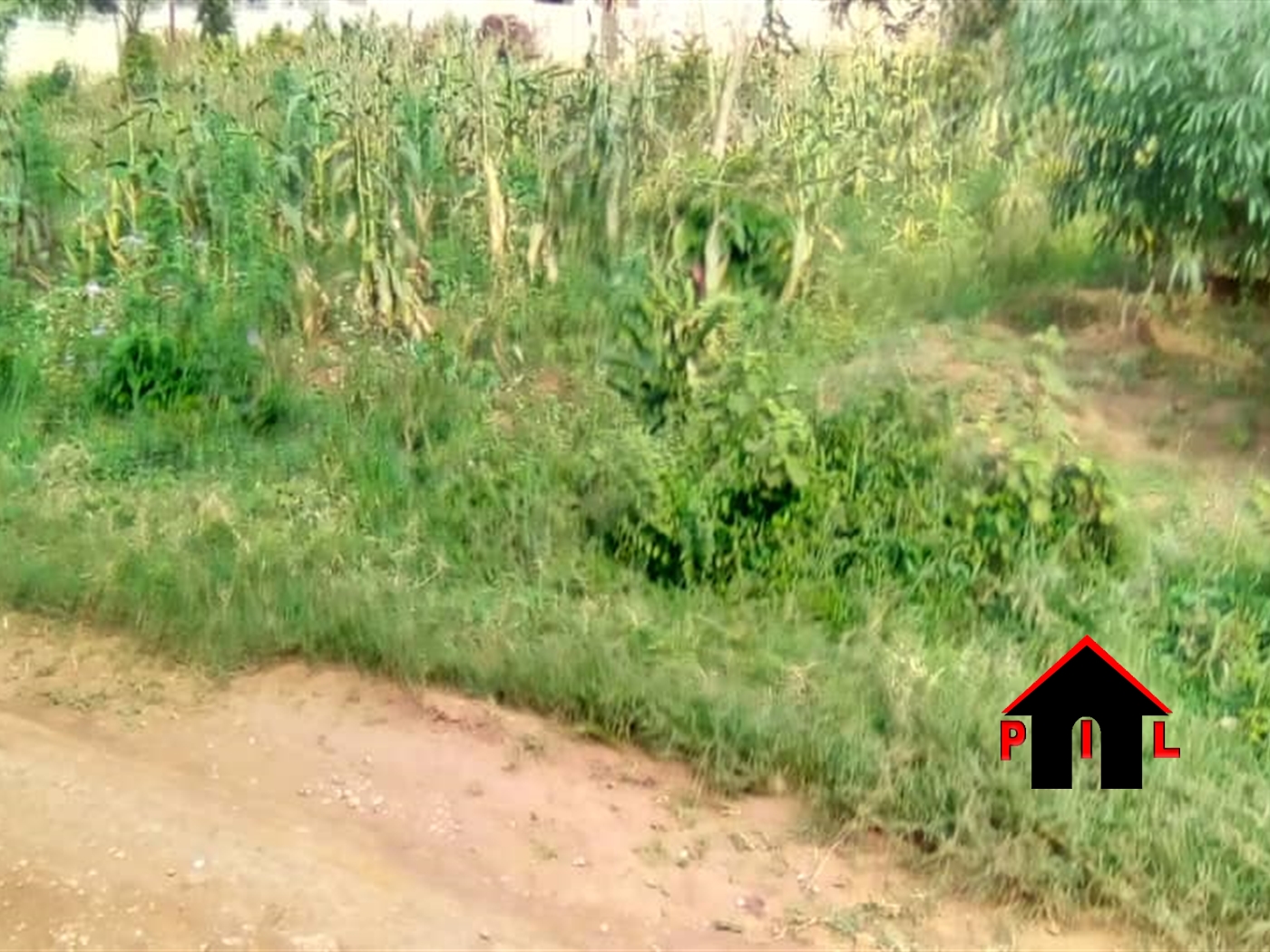 Residential Land for sale in Mpoma Mukono