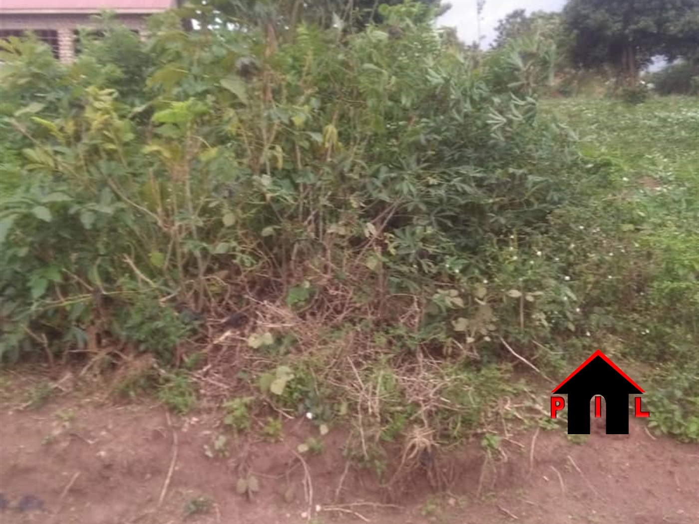 Residential Land for sale in Kiwenda Wakiso