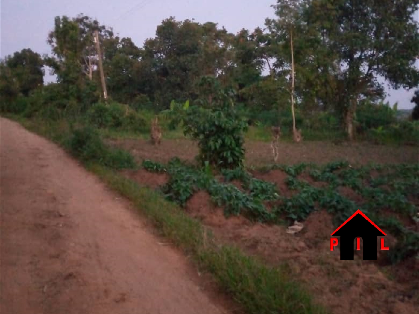 Agricultural Land for sale in Kasozi Wakiso
