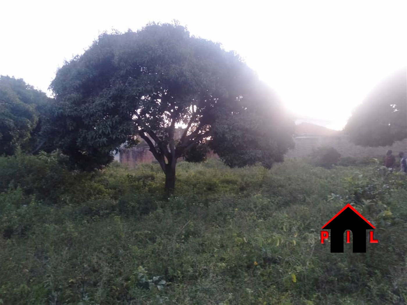 Residential Land for sale in Bweya Wakiso