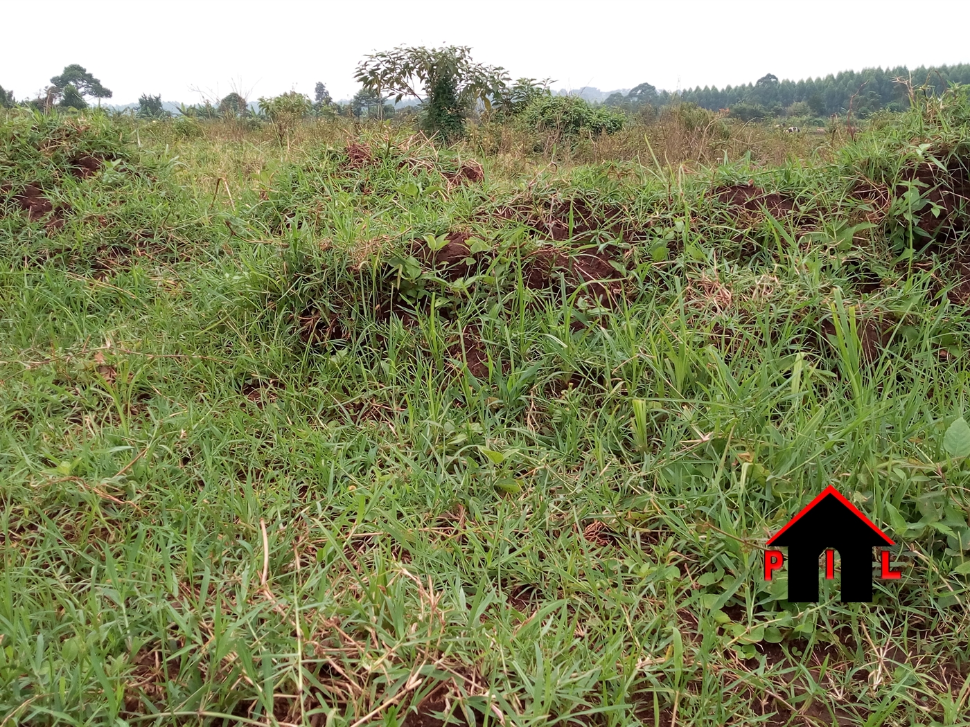 Residential Land for sale in Magigye Wakiso