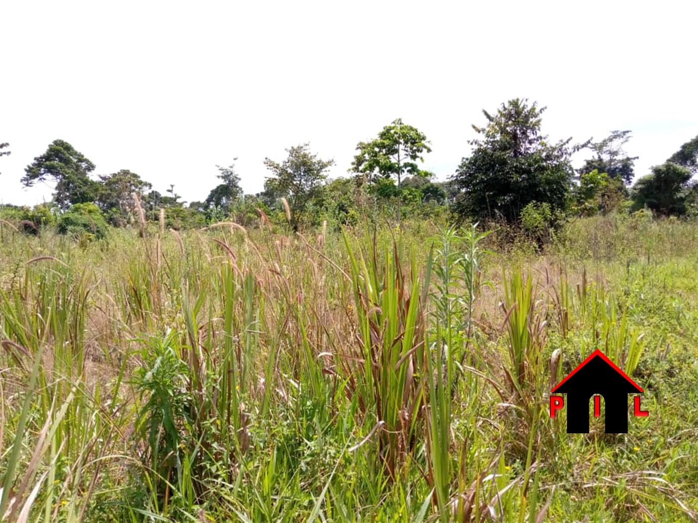 Residential Land for sale in Nakassajja Wakiso