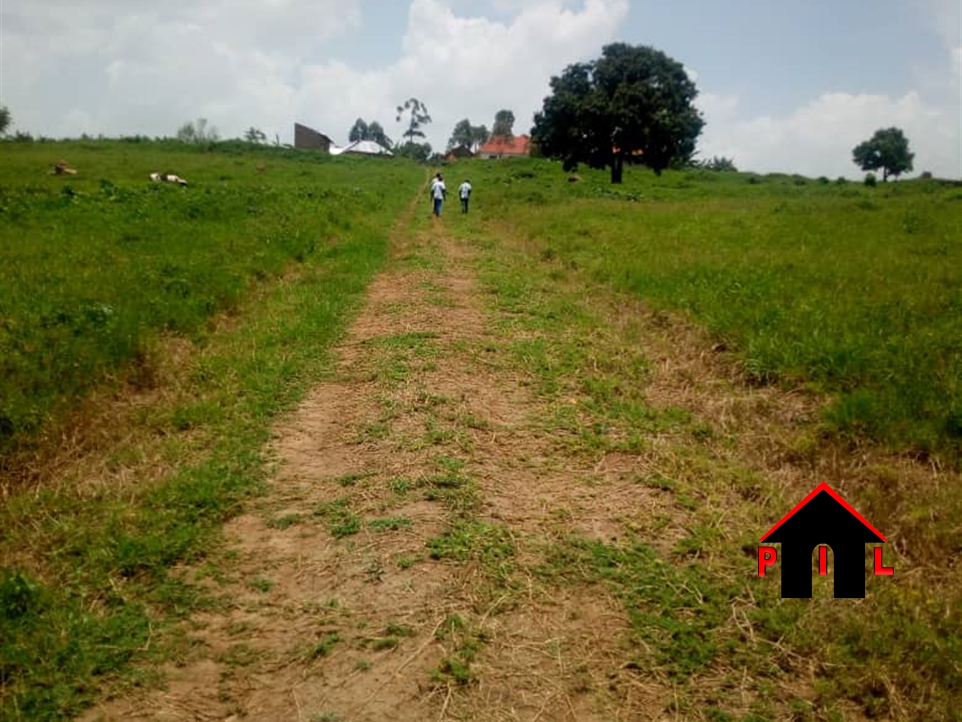 Residential Land for sale in Canaan Wakiso