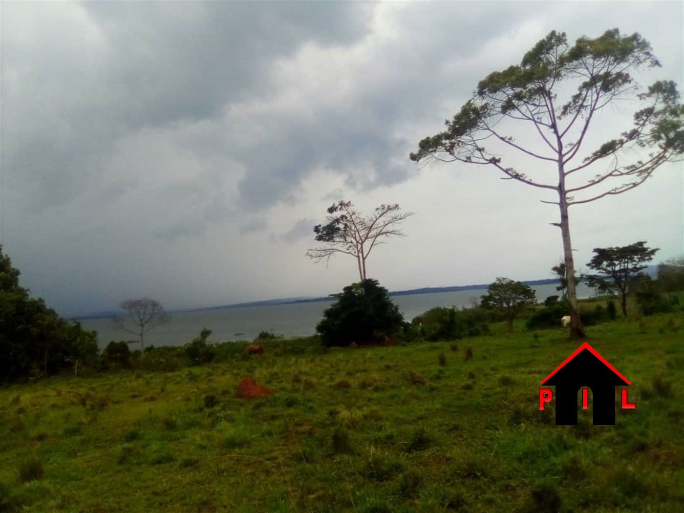 Agricultural Land for sale in Mpata Mukono