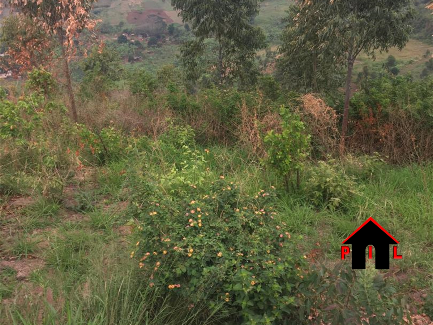 Agricultural Land for sale in Mubende Mubende