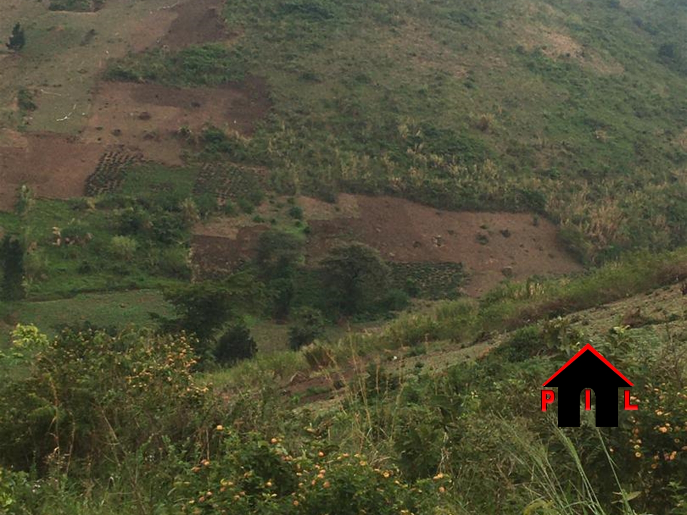 Agricultural Land for sale in Mubende Mubende