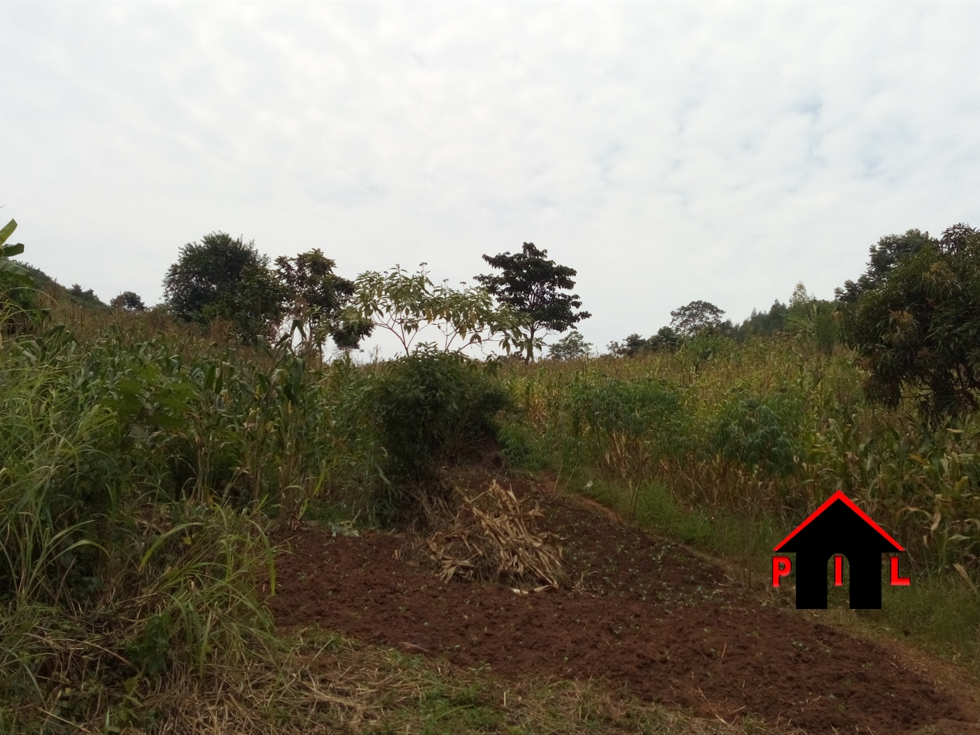 Agricultural Land for sale in Mpigi Mpigi