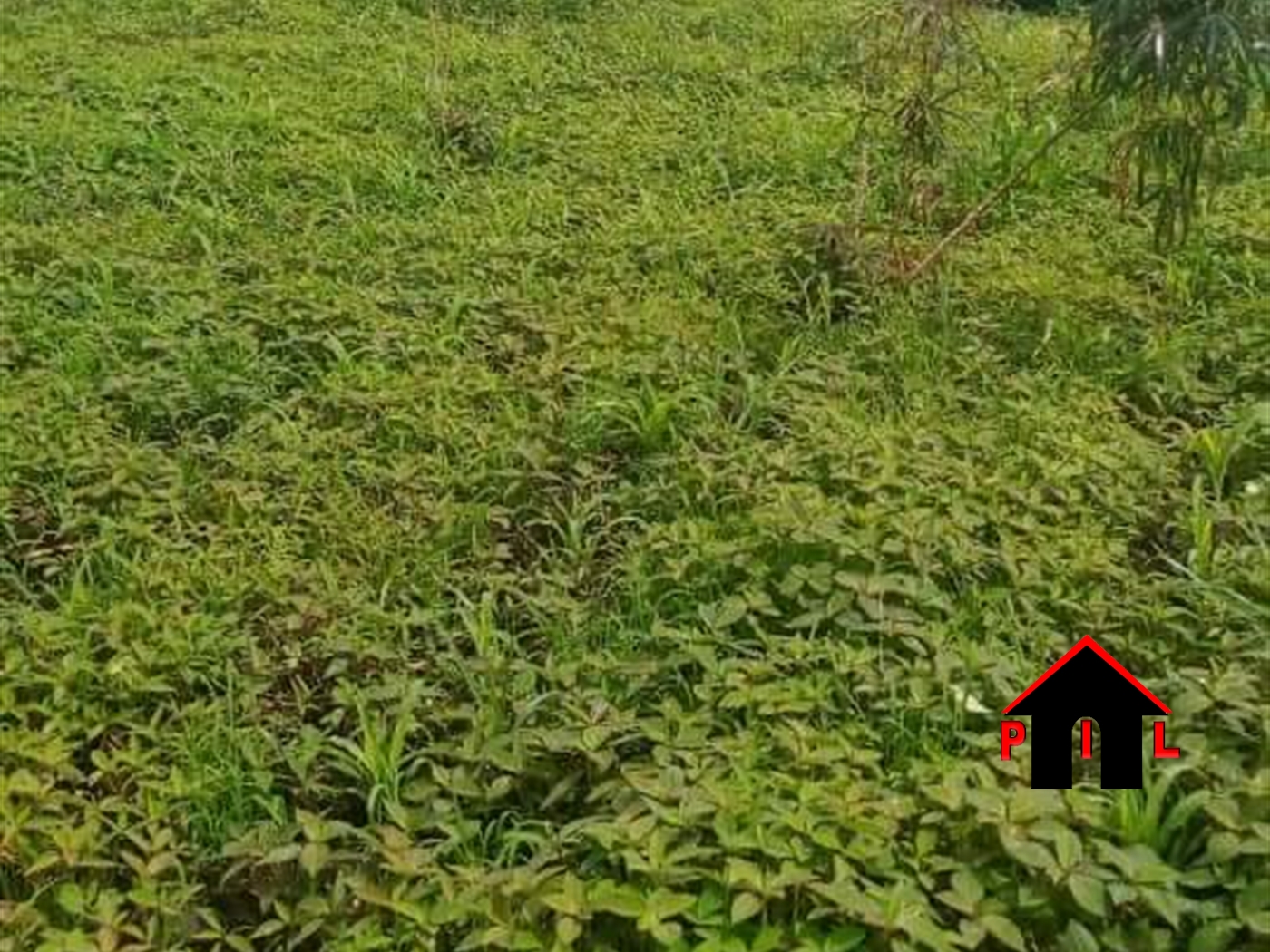 Agricultural Land for sale in Ngajju Luweero