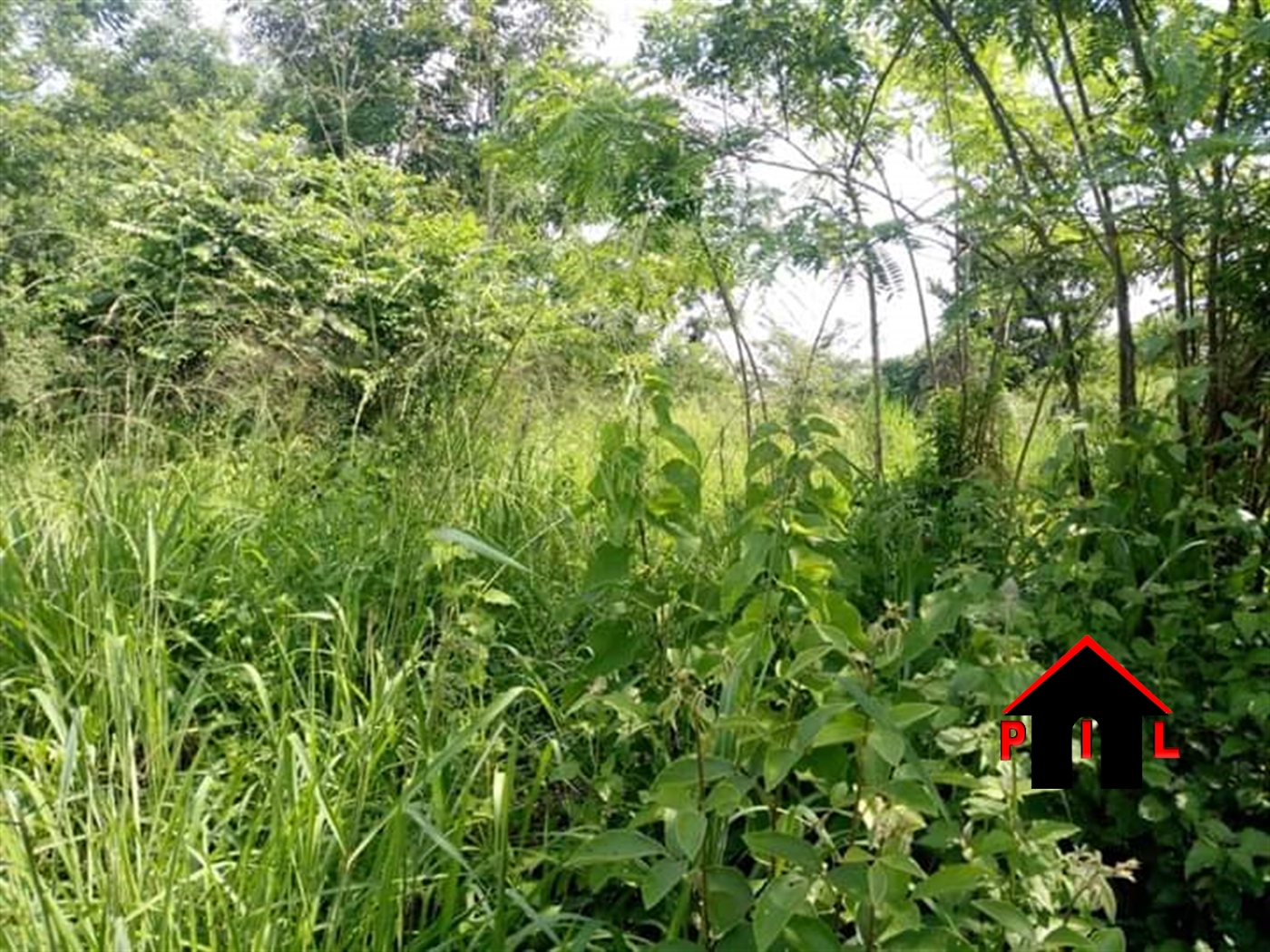 Agricultural Land for sale in Kyanamukaaka Masaka