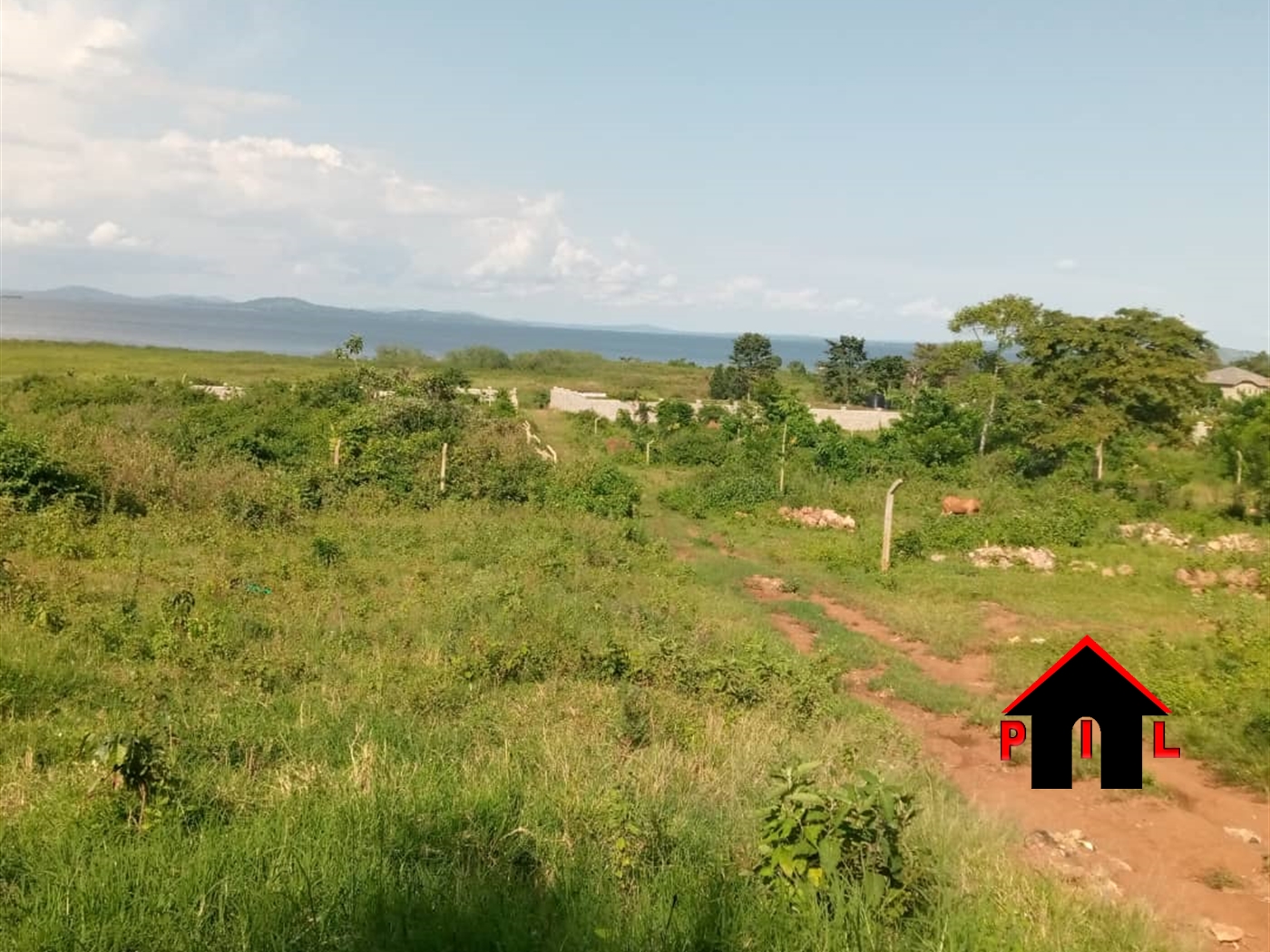 Agricultural Land for sale in Kalungu Kalungu