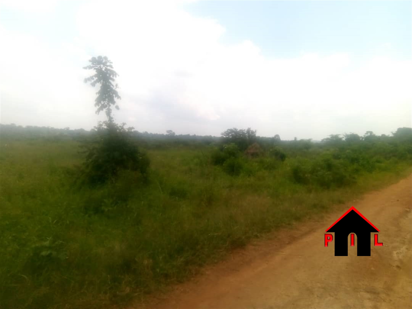 Agricultural Land for sale in Ziloobwe Luweero