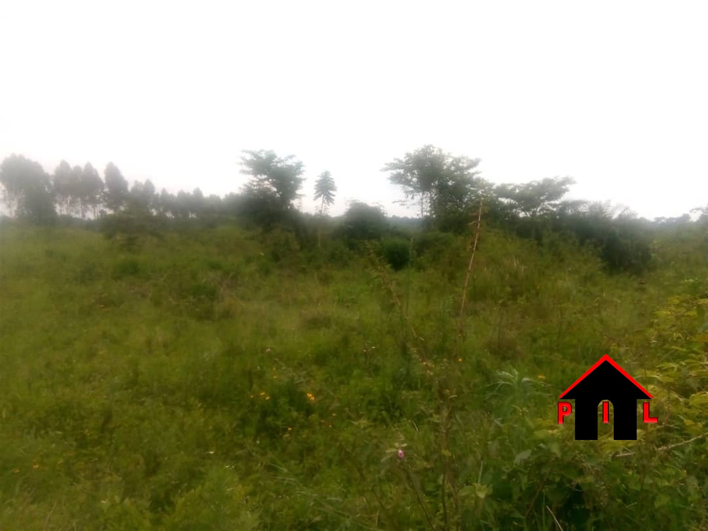 Agricultural Land for sale in Ziloobwe Luweero