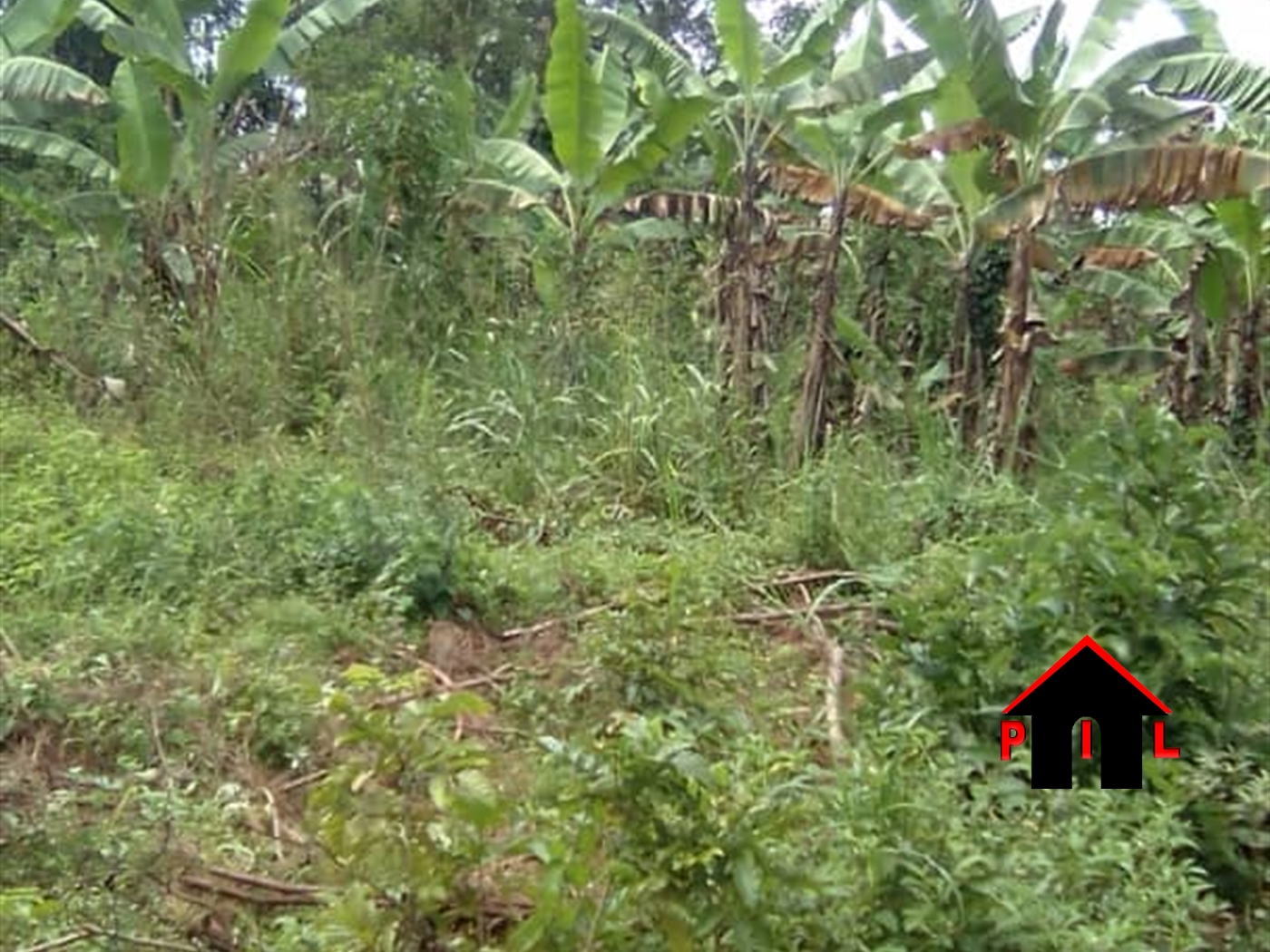 Agricultural Land for sale in Wobulenzi Luweero