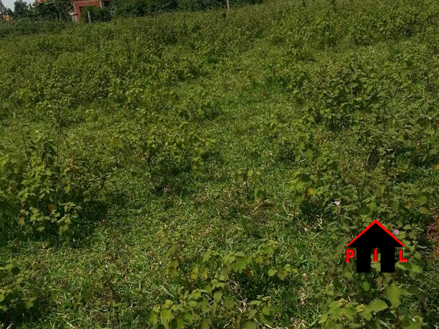 Commercial Land for sale in Mbalwa Wakiso