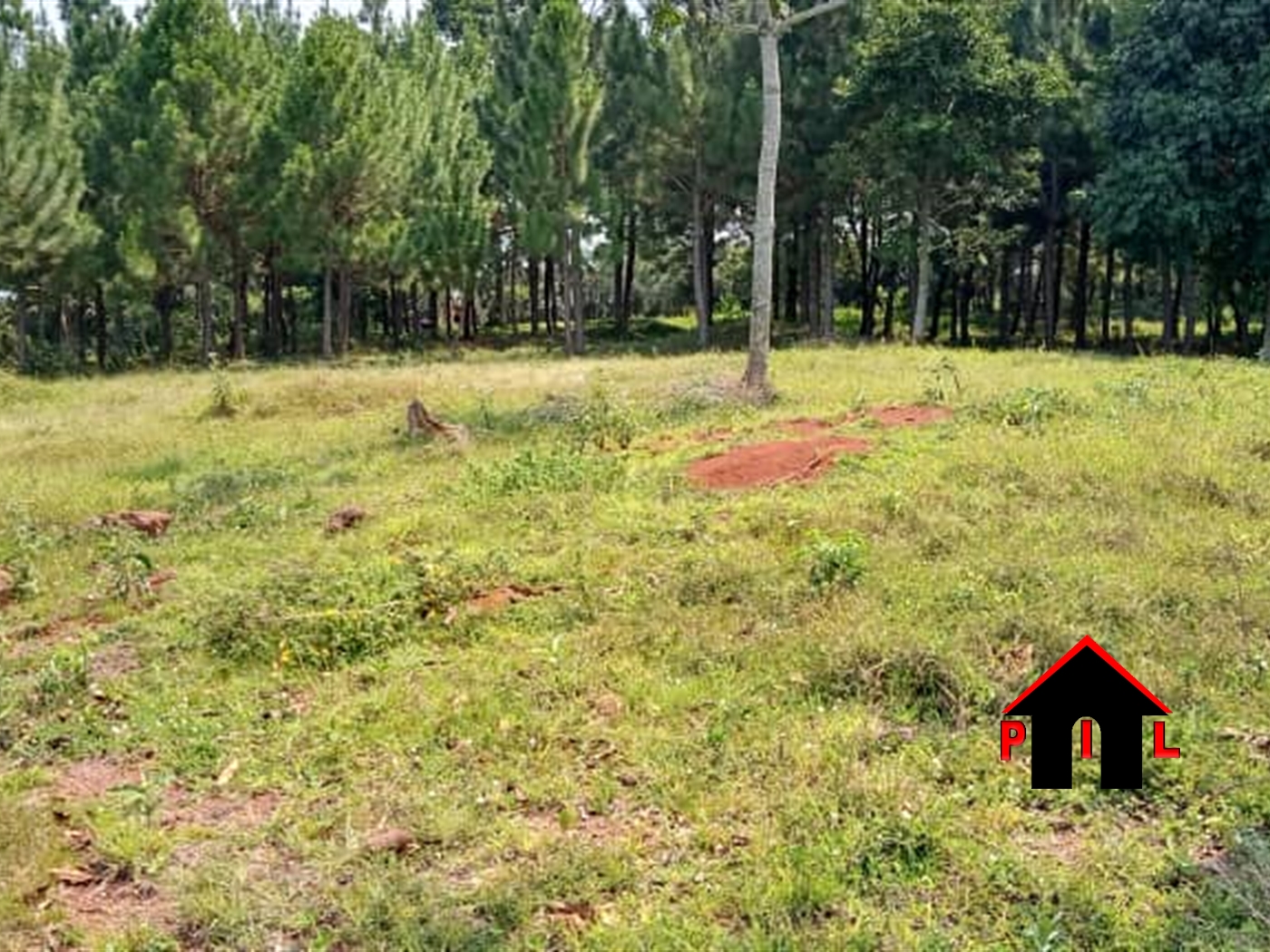 Agricultural Land for sale in Kiyindi Buyikwe