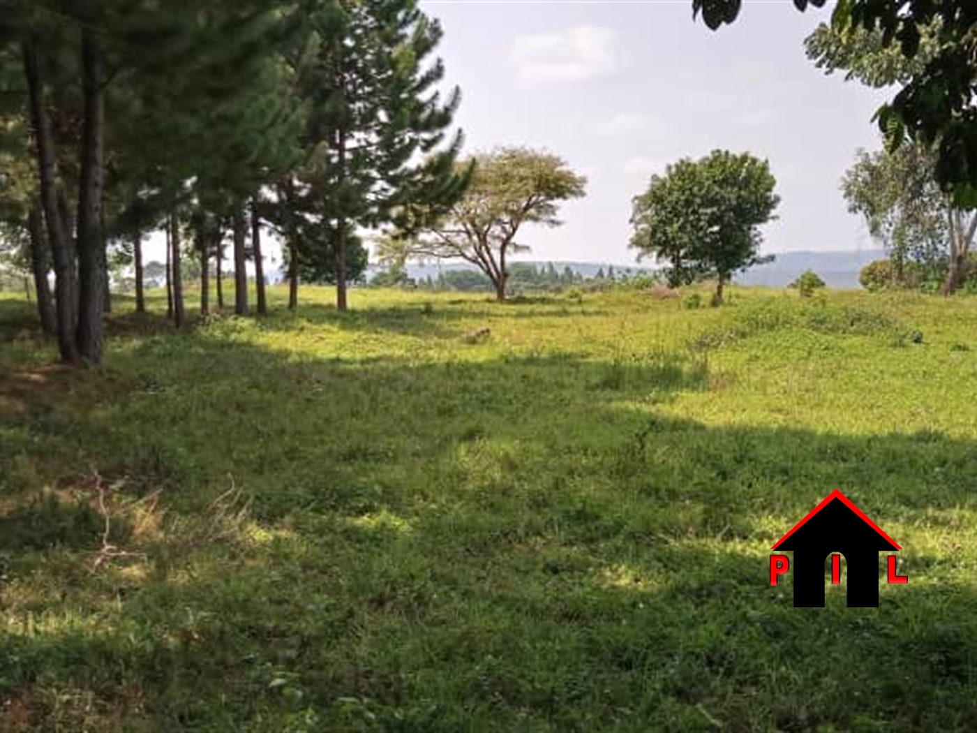 Agricultural Land for sale in Kiyindi Buyikwe