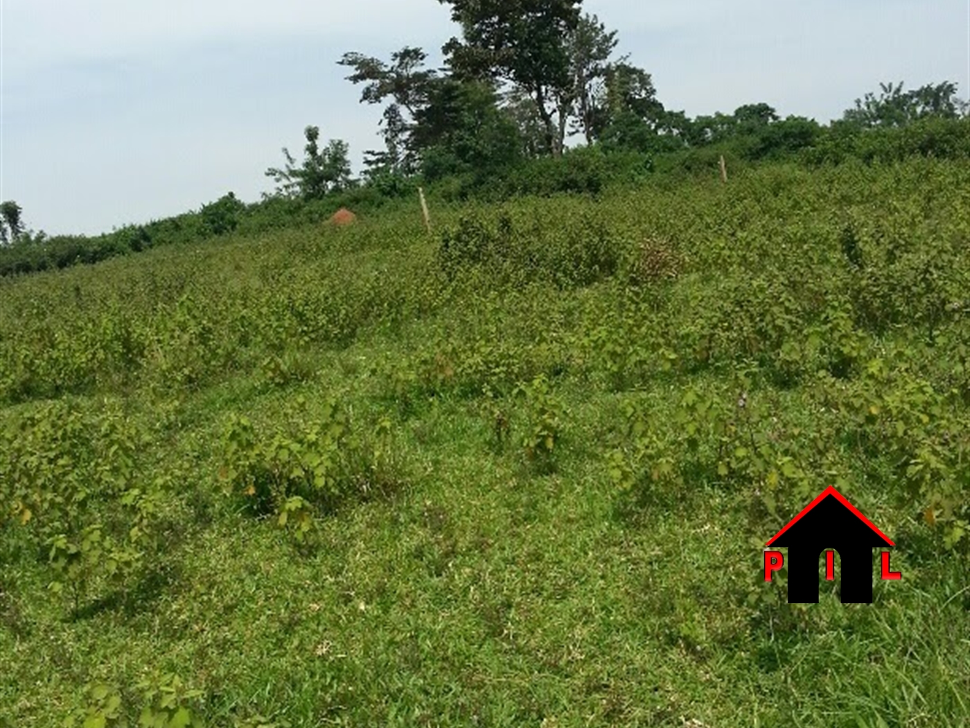 Residential Land for sale in Kitagobwa Wakiso